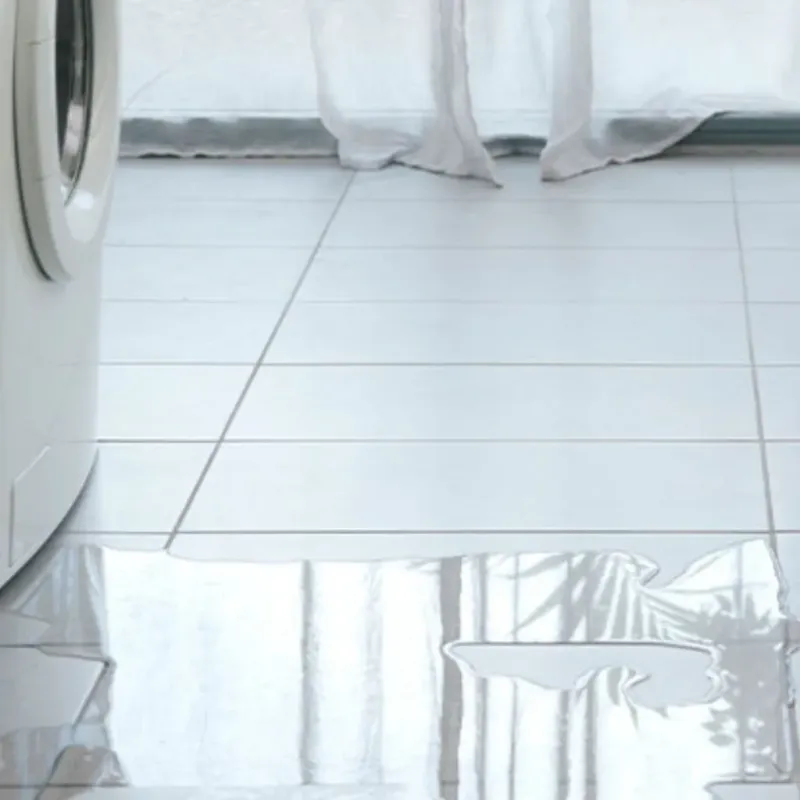 Appliance Leak Cleanup in Garden City, GA