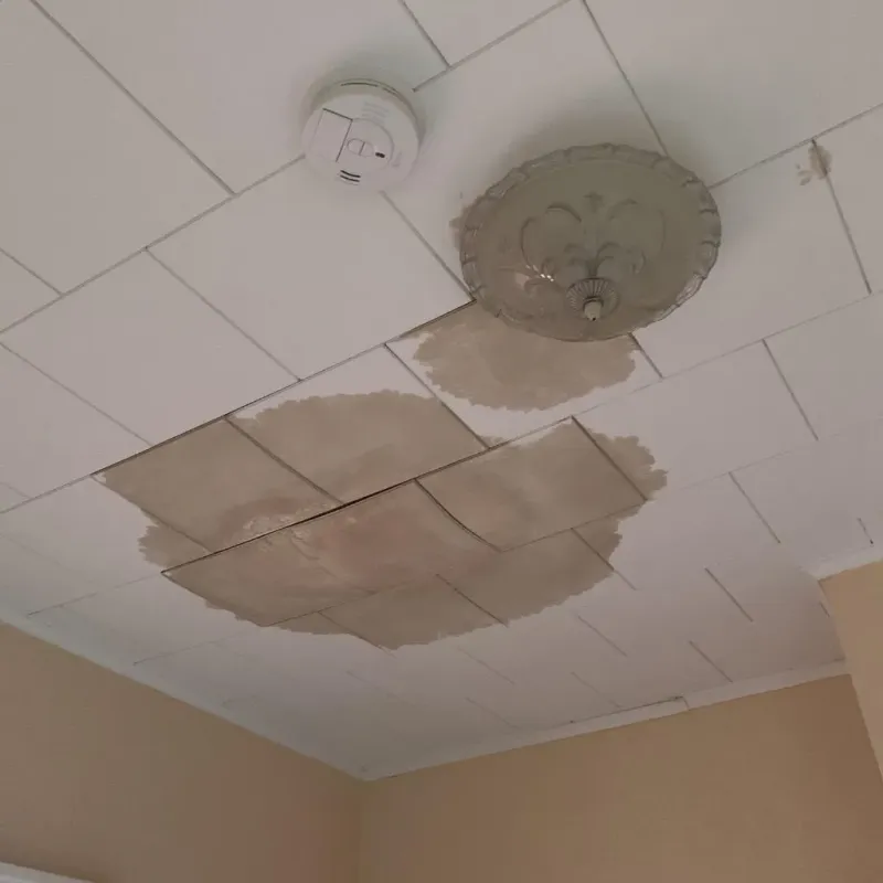 Ceiling Water Damage Repair in Garden City, GA