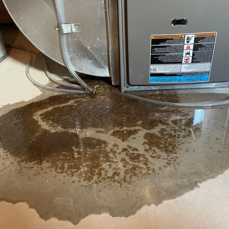 Pipe Burst and Leak Restoration in Garden City, GA