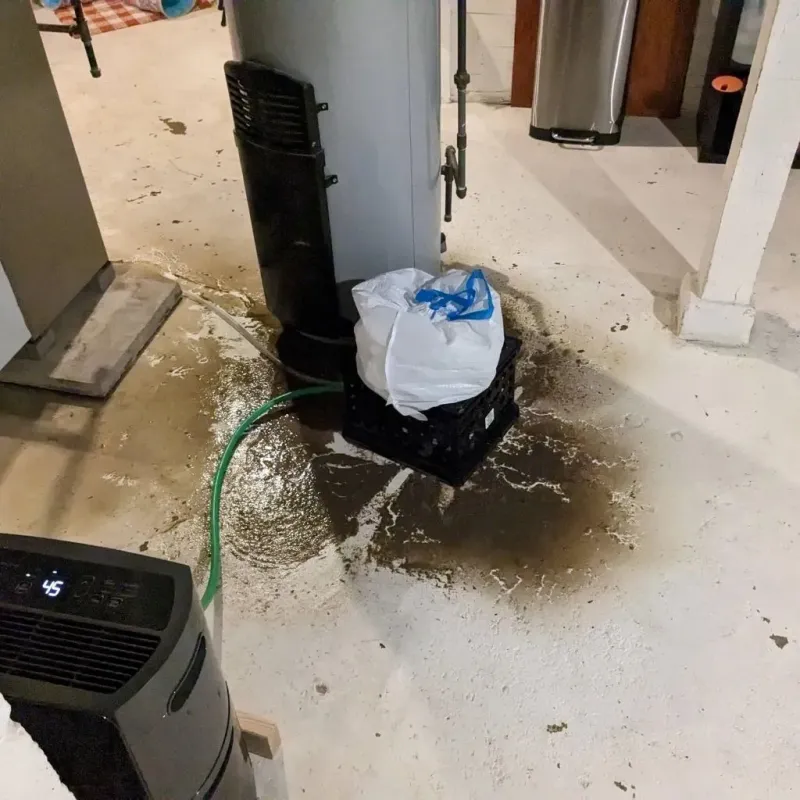 Sewage Backup Cleanup Service in Garden City, GA